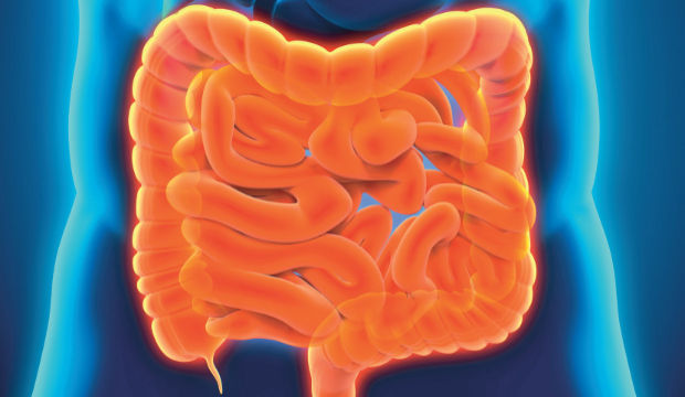 Kolon kanseri artıyor