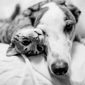 Ben imkansız aşklar için yaratılmışım