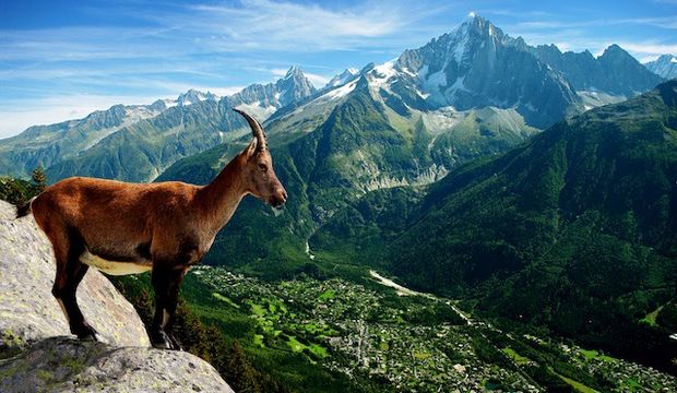 İnatçı 15 gün bizi bekliyor!