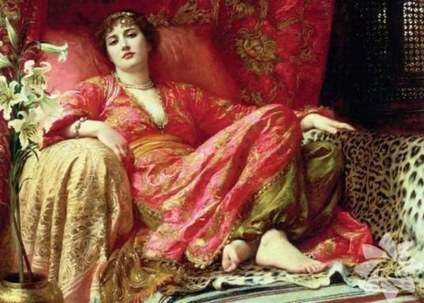 Osmanli Devleti Nin Kurucusu Osman Bey Ile Ilgili Sasirtan Iddia Gercek Ismi Osmanli Padisahlarinin Bilinmeyen Ozellikleri Galeri Takvim
