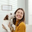 Köpek sahiplerinin yapması gereken 10 şey