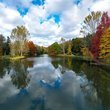 İstanbul'un botanik parkları