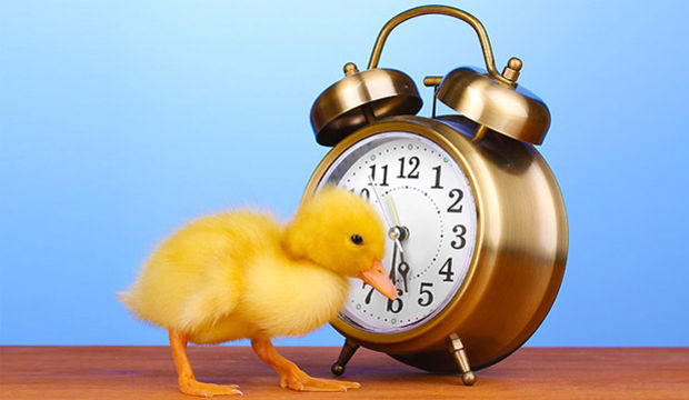 Önemli işlerinizi erteleyin!