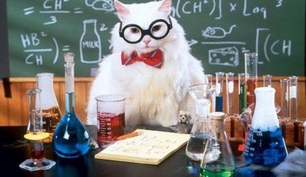 günlük burç yorumları