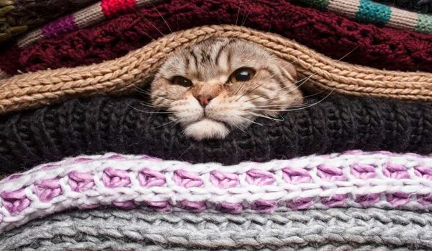 Sürekli üşüyor musunuz?