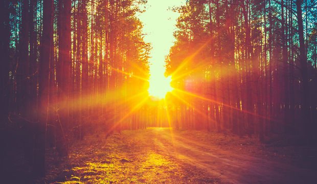 Paradan daha önemli 8 şey