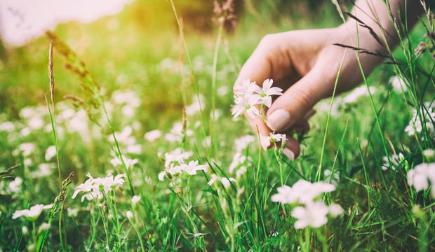 Özgürlük kanatlandırır!