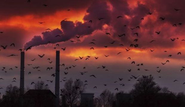 Sera gazı salınımı tehdidi