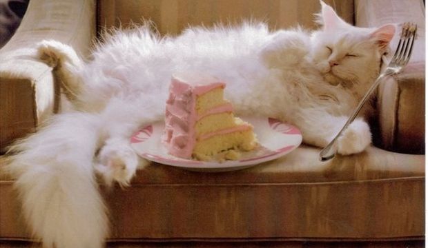 Bayramda sağlıklı beslenme