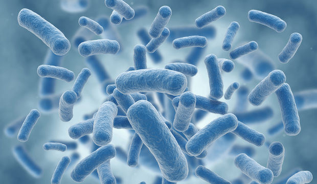 Mikrobiyota Araştırması