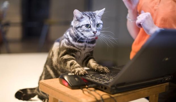 günlük burç yorumları