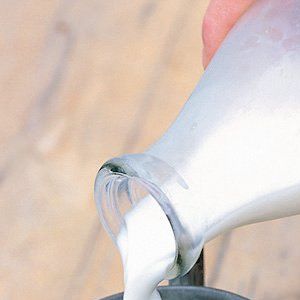 Süt kemikleri güçlendirir mi?