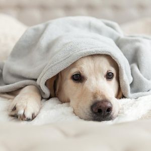 Duygularınızın esiri olmayın!