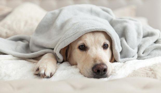 Duygularınızın esiri olmaktan kurtulmanın 6 yolu