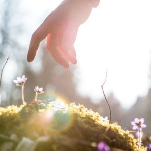 Nasıl mutlu olacağınızı bilmiyorsanız...