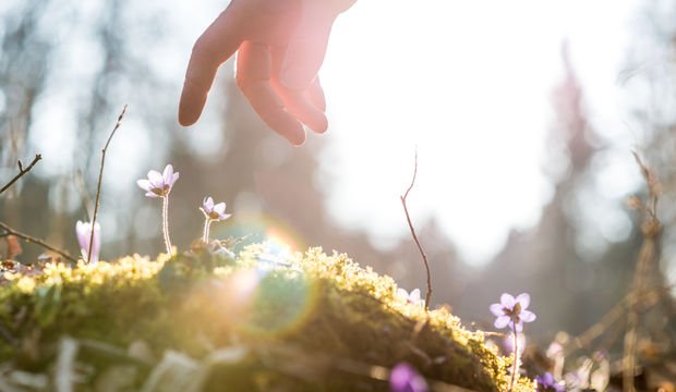 Nasıl mutlu olurum?