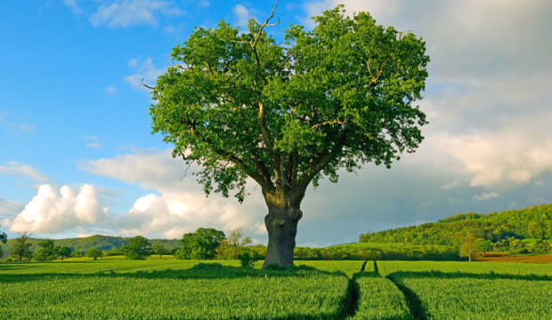doğa fotoğrafları