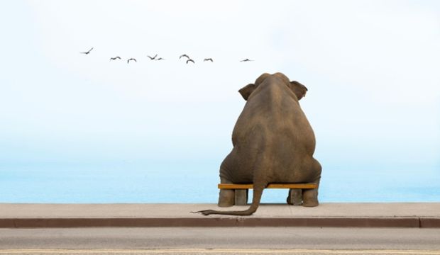 Yalnızlık hissine dikkat!