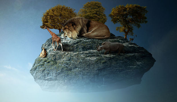 Gerçeküstü bir dünya!