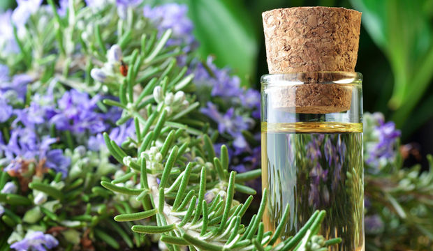 Sivrisinek ısırıklarına ne iyi gelir