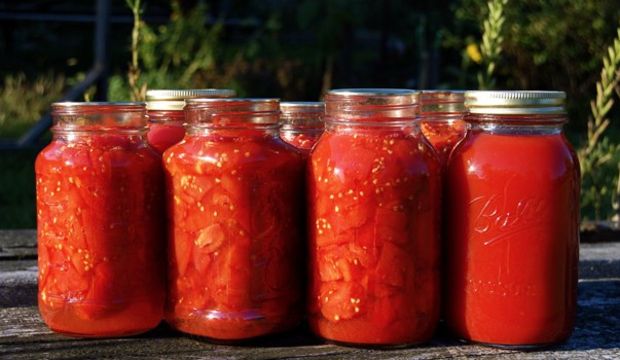 Domates konserve yapımı