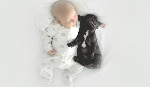 Bebek ve köpek birlikte büyüyor