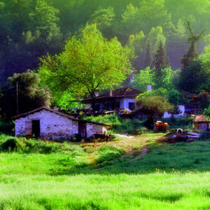 İçinden anne geçen coğrafya: Hopa'ya ağıt