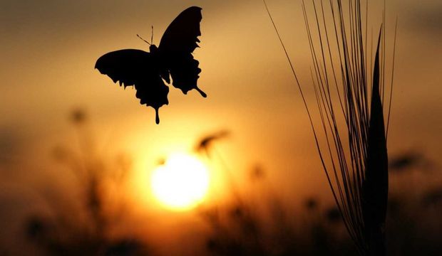 Bugün ruhumuz özgür!