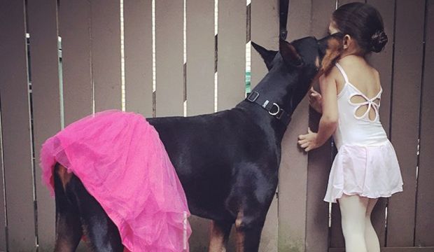 Minik Siena ile Buddha’nın dostluğu