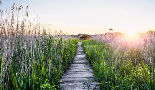Doğa ruh sağlığına iyi geliyor