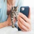 Telefonsuz kalma korkunuz ne boyutta?