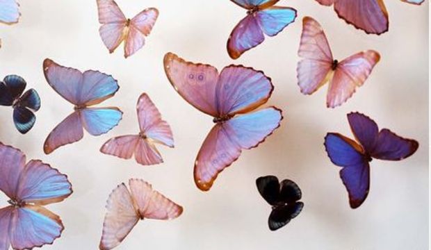 Çocuk gözüyle patlama