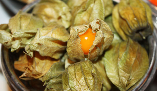 Altın çileğin faydaları