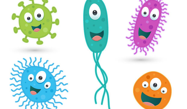 Mikroplarınıza iyi bakın!