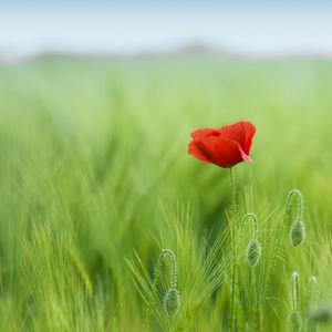 Yalnız başınıza vakit geçirmek için 9 sebep 