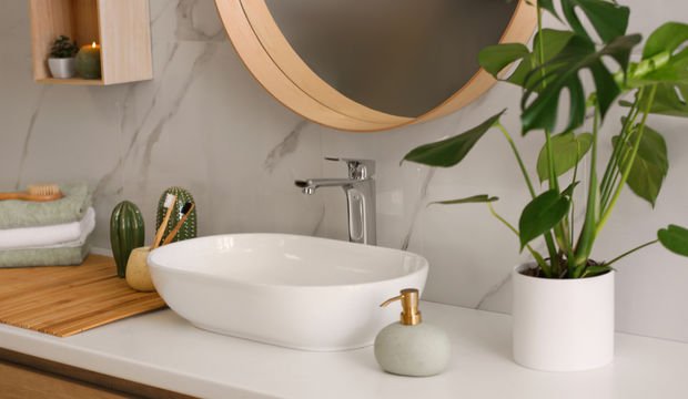 Banyo dekorasyonu için 5 bitki