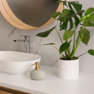 Bu bitkiler banyonuza iyi gelecek!