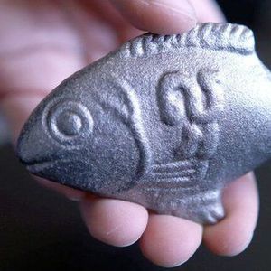 Anemiye yeni çözüm: Demir balık