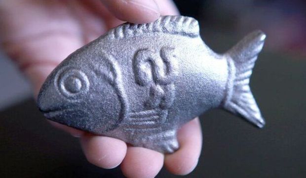 Anemiye yeni çözüm: Demir balık