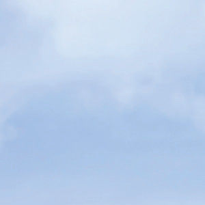 Sütün kalitesi = İneğin yaşamı