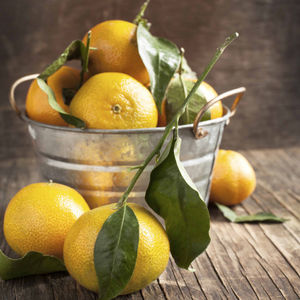 Mandalina günlüğü 