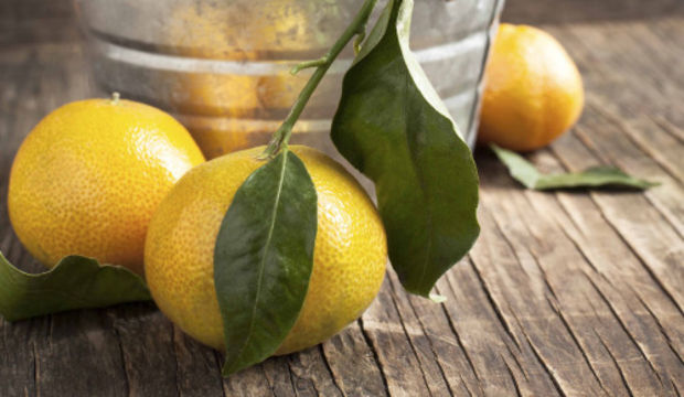 Mandalina Günlüğüm