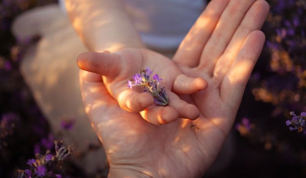 Dünyanın en iyi pedagogundan tavsiyeler