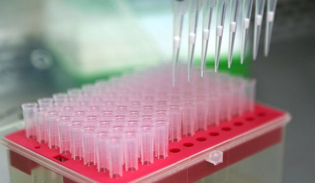 Zika aşısı 18 ay alabilir