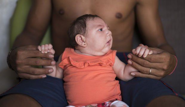 Zika virüsü rehberi