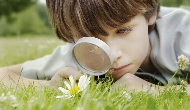 Çocuğunuz nasıl öğrenir?