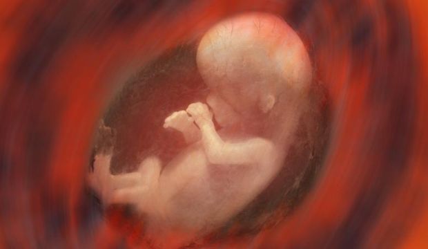 Burcu'nun gebelik günlüğü - 9-10. hafta