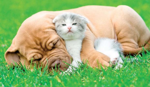 Bahar yorgunluğundan daha az etkilenmek için ipuçları