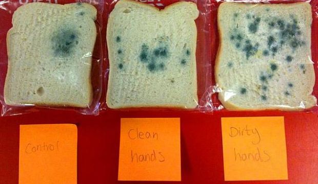 Neden ellerimizi yıkamalıyız?