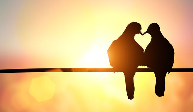 Neden aşık oluyoruz?